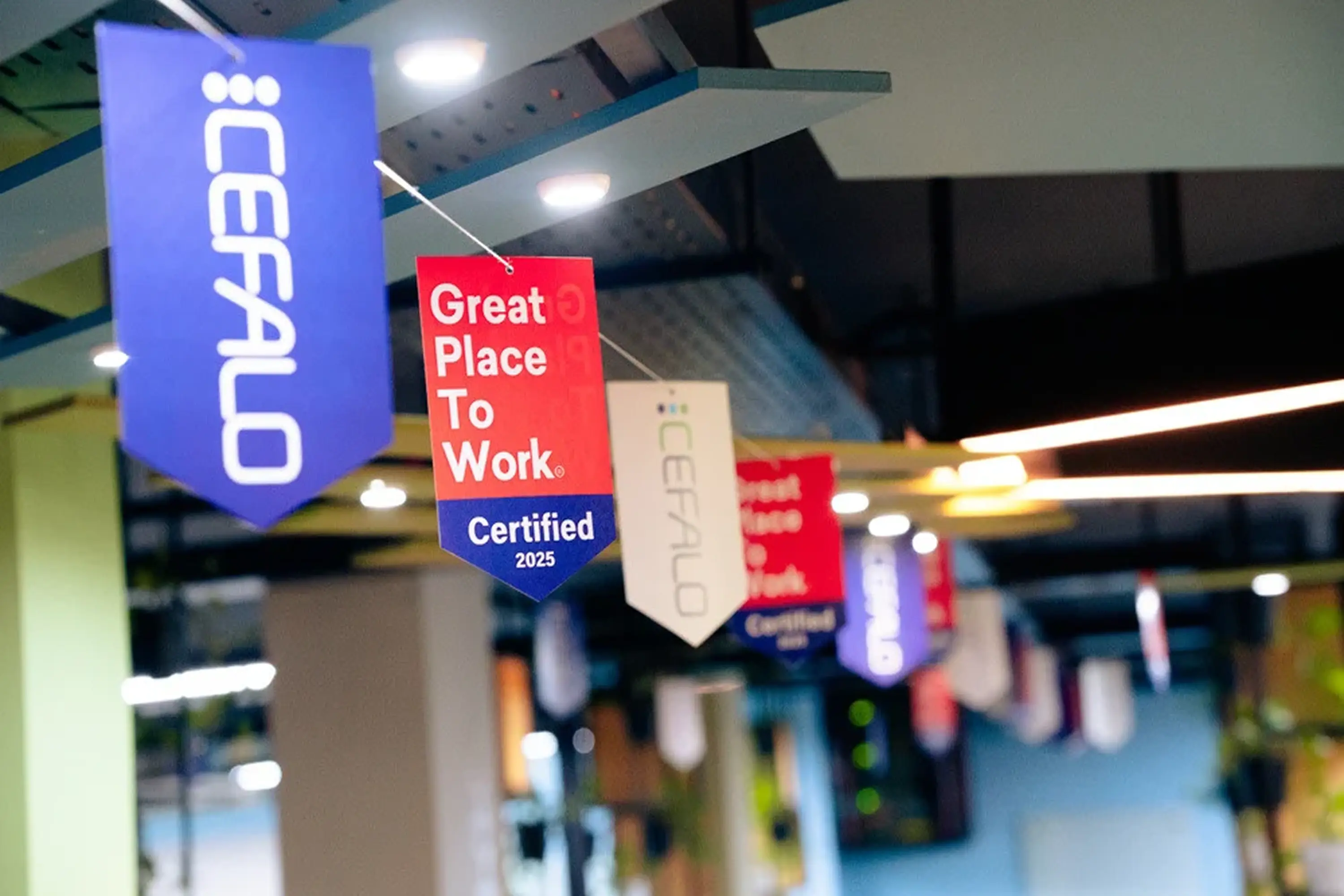 Cefalo-office-dhaka