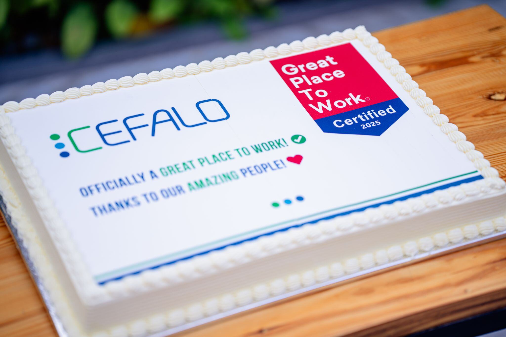 Kake med Cefalo og great place to work logo på