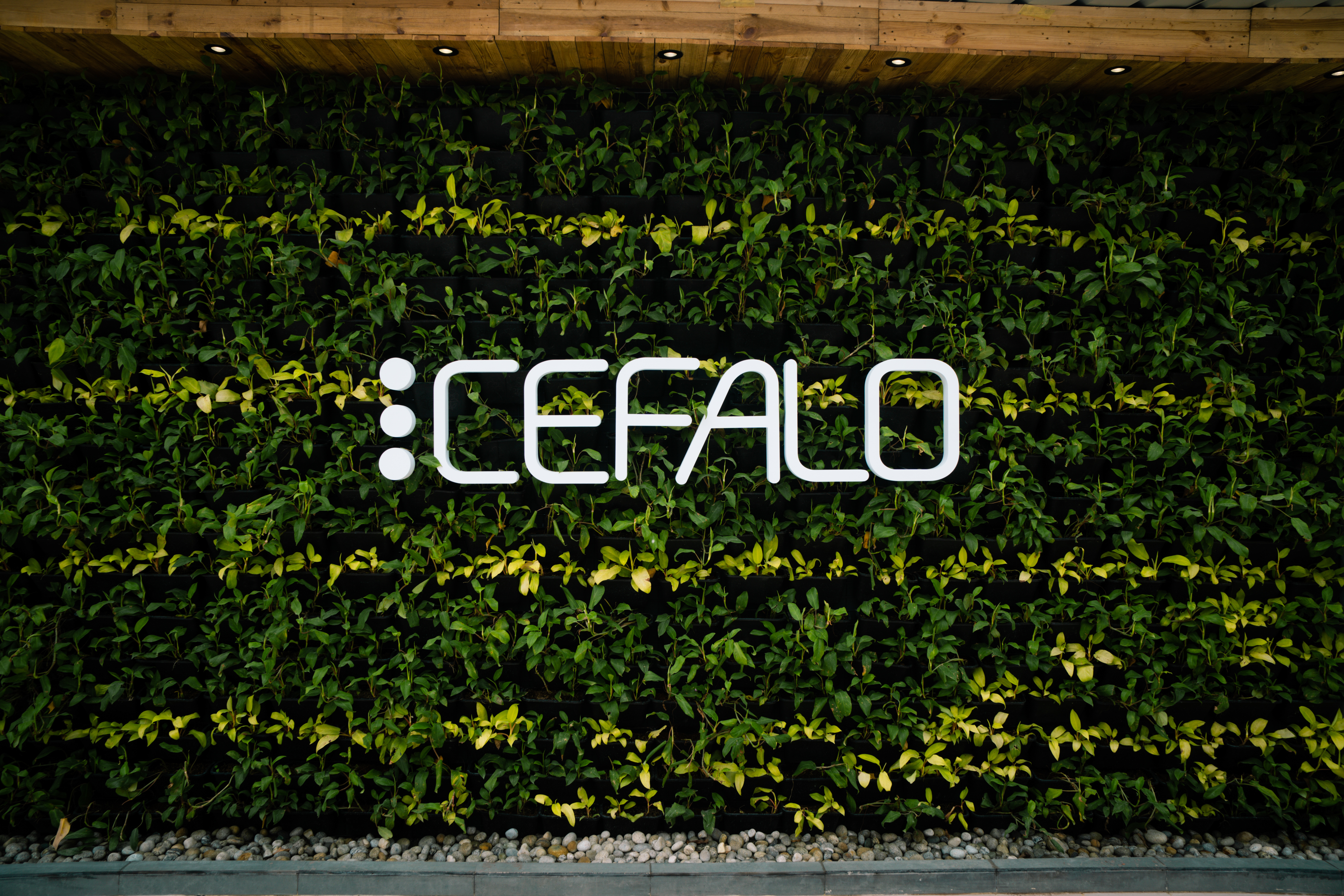 Grønn vegg av planter med hvit cefalo logo på