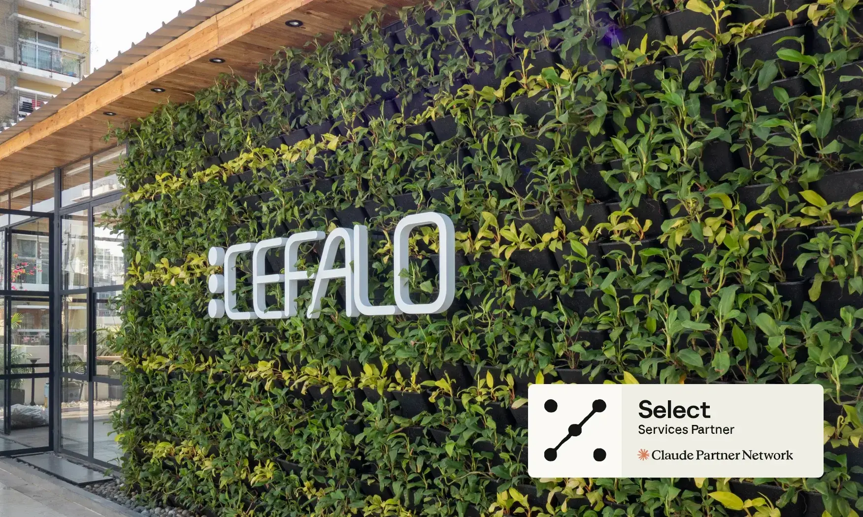 Cefalo logo on a green wall of live plants